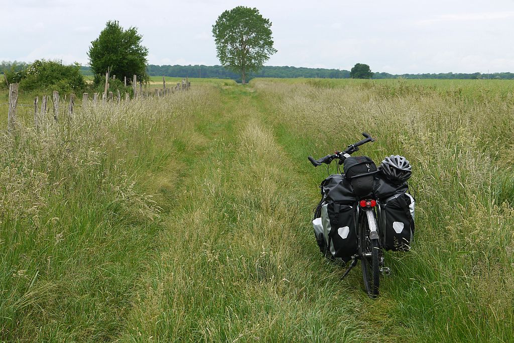 Foto van Raph's fiets op een volledig met gras bedekt weggetje
